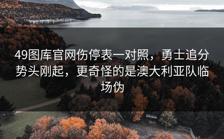 49图库官网伤停表一对照，勇士追分势头刚起，更奇怪的是澳大利亚队临场伪