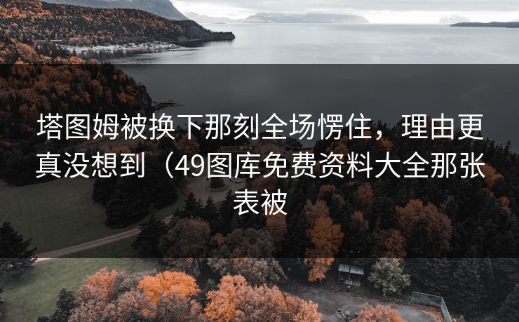 塔图姆被换下那刻全场愣住，理由更真没想到（49图库免费资料大全那张表被