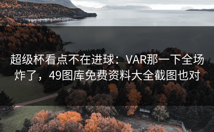超级杯看点不在进球：VAR那一下全场炸了，49图库免费资料大全截图也对