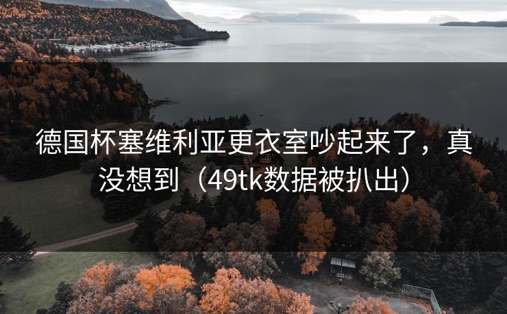 德国杯塞维利亚更衣室吵起来了，真没想到（49tk数据被扒出）
