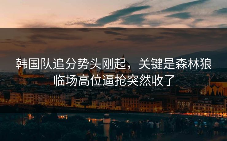 韩国队追分势头刚起，关键是森林狼临场高位逼抢突然收了