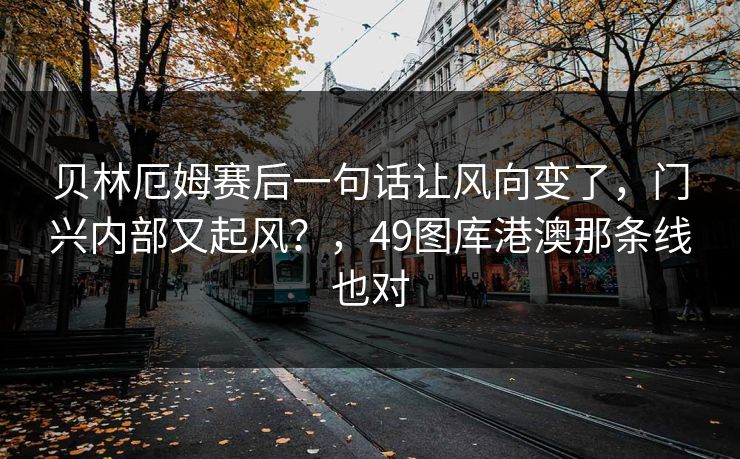 贝林厄姆赛后一句话让风向变了，门兴内部又起风？，49图库港澳那条线也对